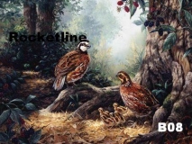 B08 QUAIL FAMILY