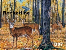 D07 DEER FOREST