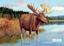 M09 MOOSE HEAVEN