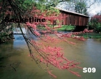 S09 RED BUD BRIDGE