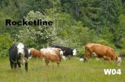 TREE LINE GRAZIN